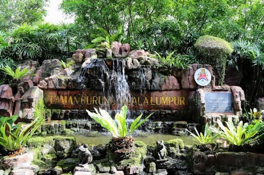Attractions Photo