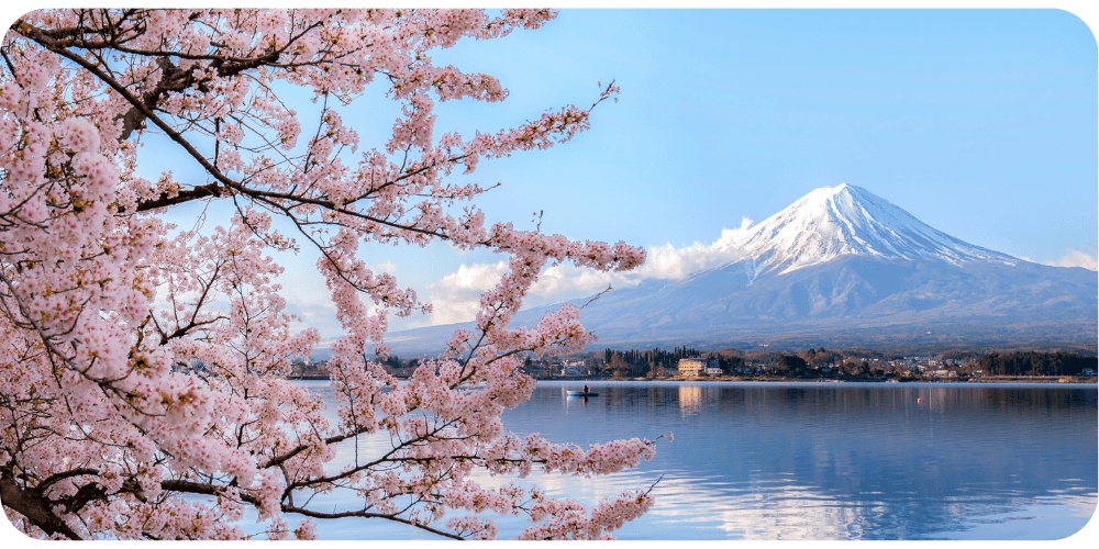 The best places to experience cherry blossoms in Japan and Europe